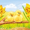 Easter Starts Chicks Napkins