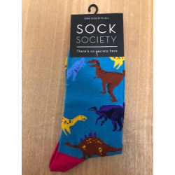 Dinosaurs Blue Socks