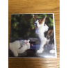 Cats Country Matters Greeting Card