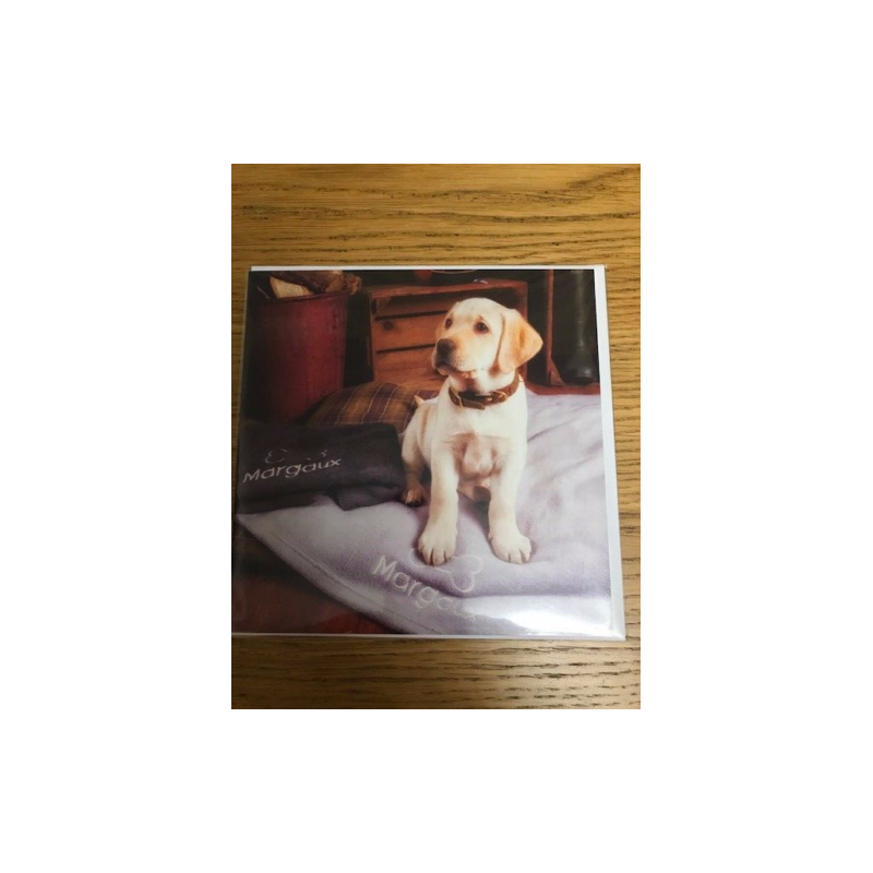 Margaux Lab Puppy Country Matters Greeting Card