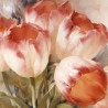 Tulips Dream Napkins