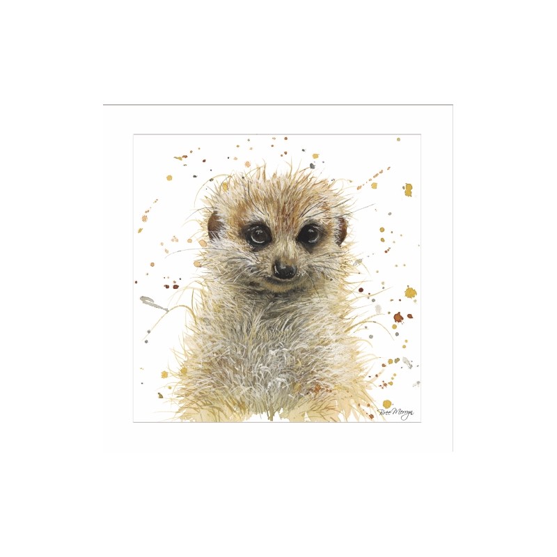 Bree Merryn Blank Greeting Card Meerkat