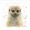Bree Merryn Blank Greeting Card Meerkat