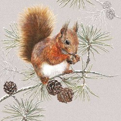 Squirrel in Winter Christmas Napkins