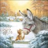 Donkey and Kitten Christmas Napkins