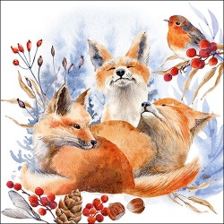 Foxes and Robin Napkins