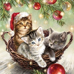 Cats in Basket Christmas Napkins