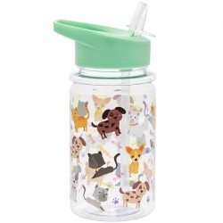 Cats and Dogs Little Stars Drink Up Water Bottle