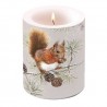 Squirrel in Winter Candle