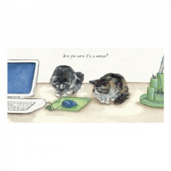 Classic Card ' Office Cats' by The Little Dog Company