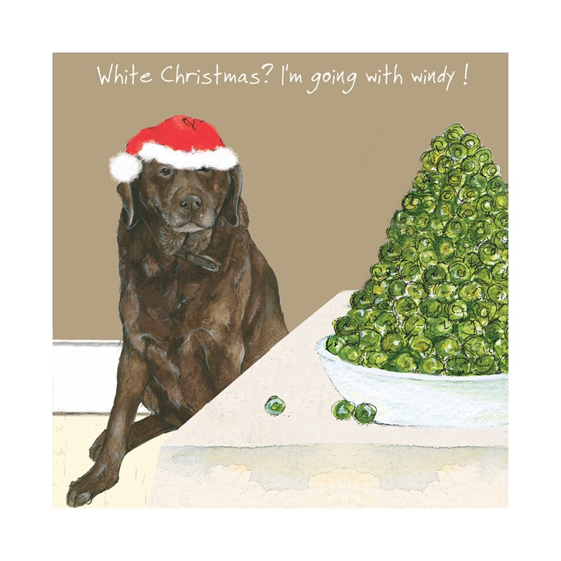 Windy - Comical Christmas Cards by The Little Dog Company