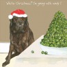 Windy - Comical Christmas Cards by The Little Dog Company