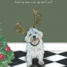 Red Nose - Comical Christmas Cards by The Little Dog Company