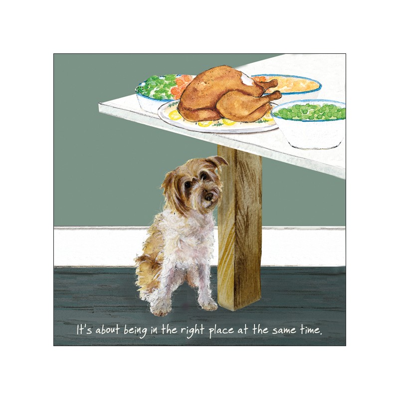 Right Place - Digs and Manor Little Dog Company Card