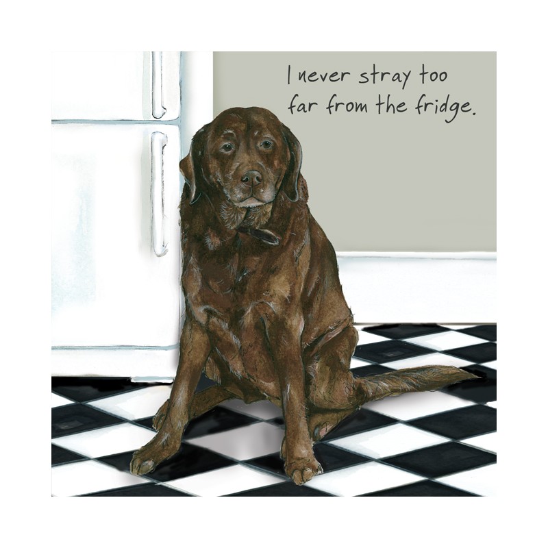 Fridge Stray - Digs and Manor Little Dog Company Card