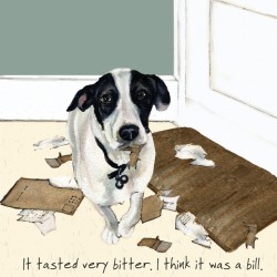 Bill - Digs and Manor Little Dog Company Card