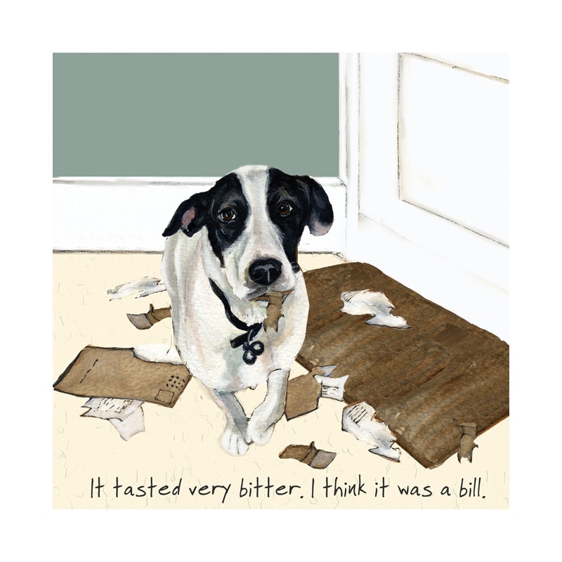 Bill - Digs and Manor Little Dog Company Card