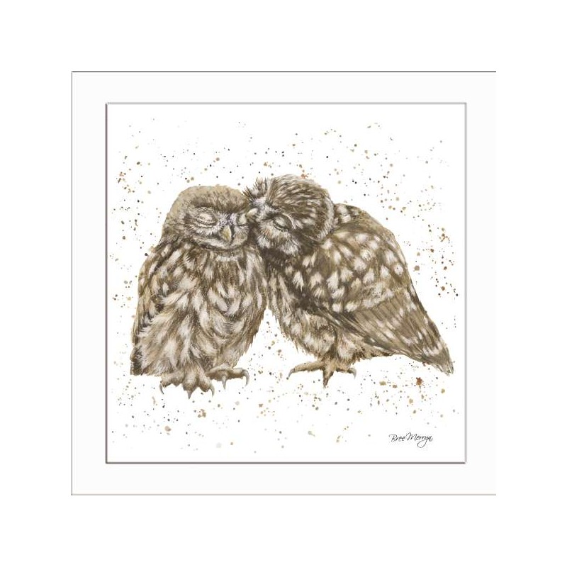 Bree Merryn Blank Greeting Card Posh and Pecks Owls