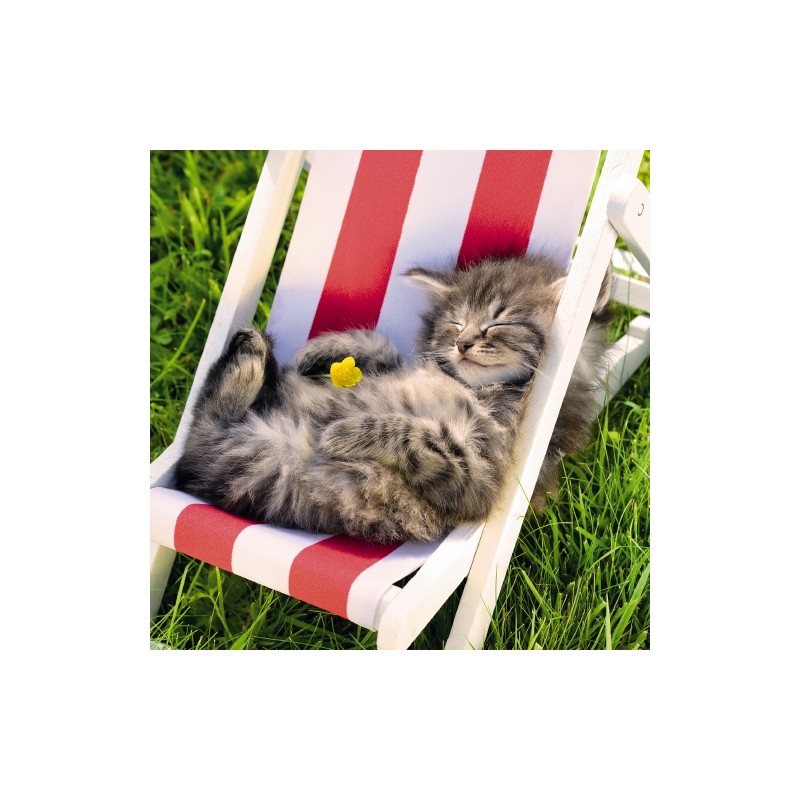 Cube Blank Greeting Card Cat Nap