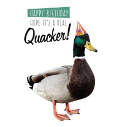 Noel Tatt Picture This Birthday Card Quacker!