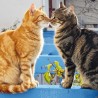 RSPCA Blank Greeting Card Cats Kiss in the Sunshine