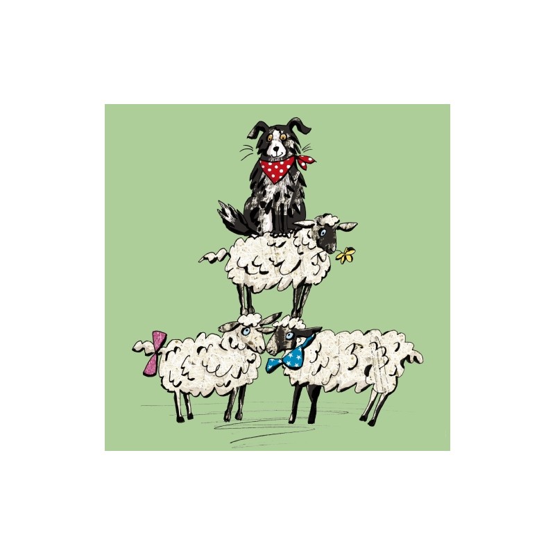 Showcase Blank Greeting Card Sheepdog and Sheep