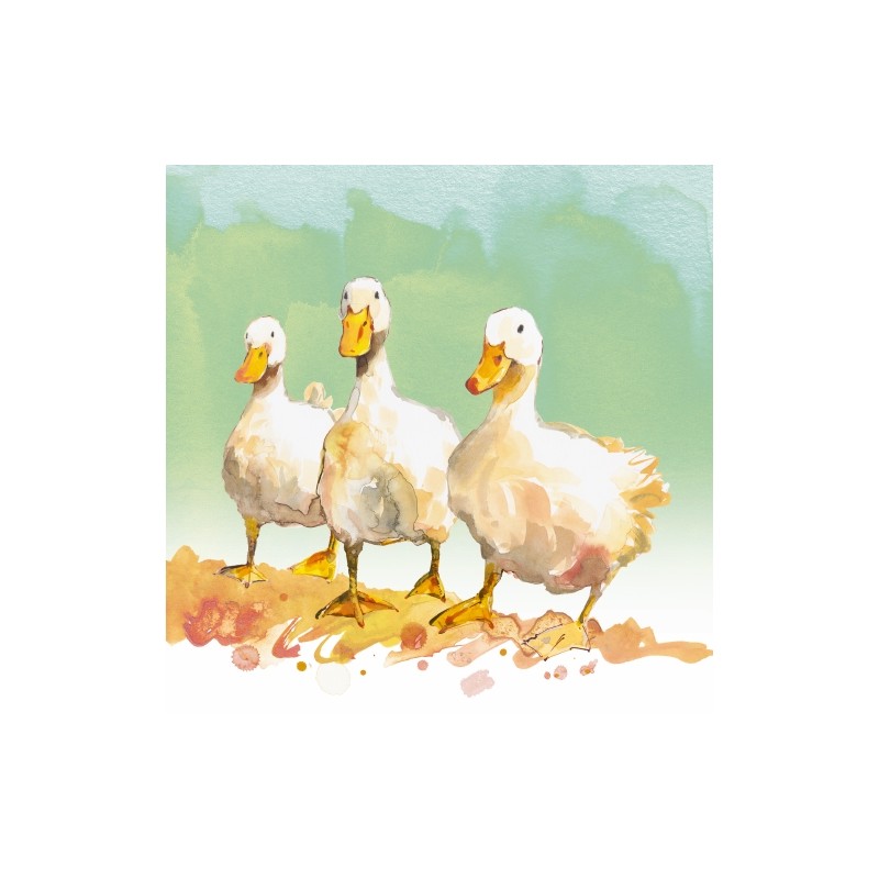 Showcase Blank Greeting Card Three Ducks