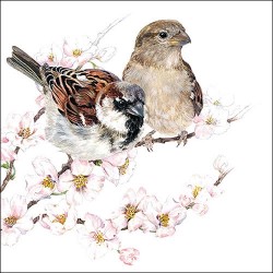 Ambiente Sparrows Blossom...