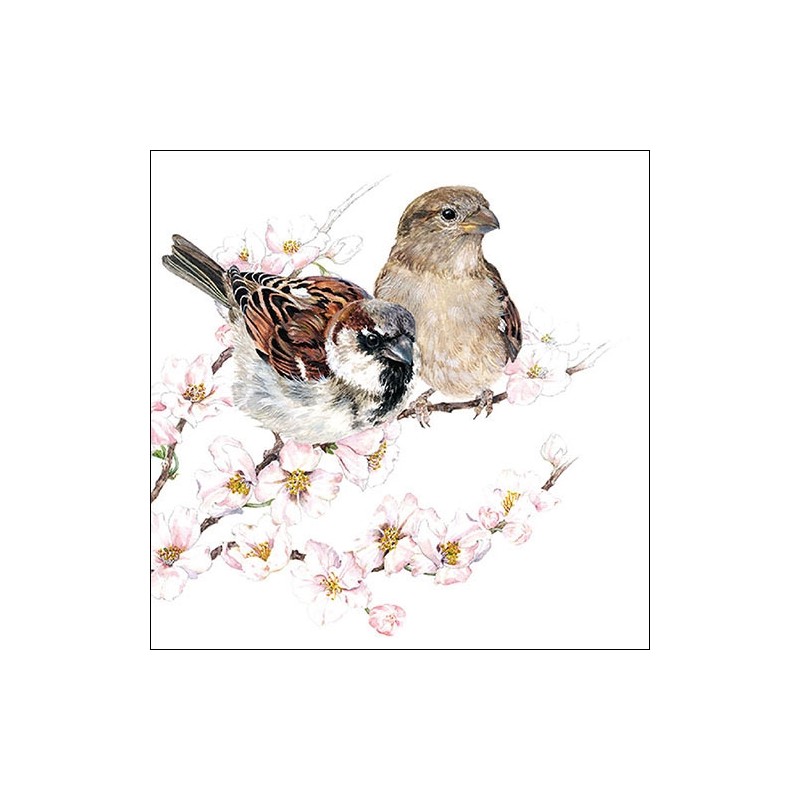Ambiente Sparrows Blossom Napkins