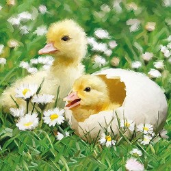 Newborn Chicks Napkins