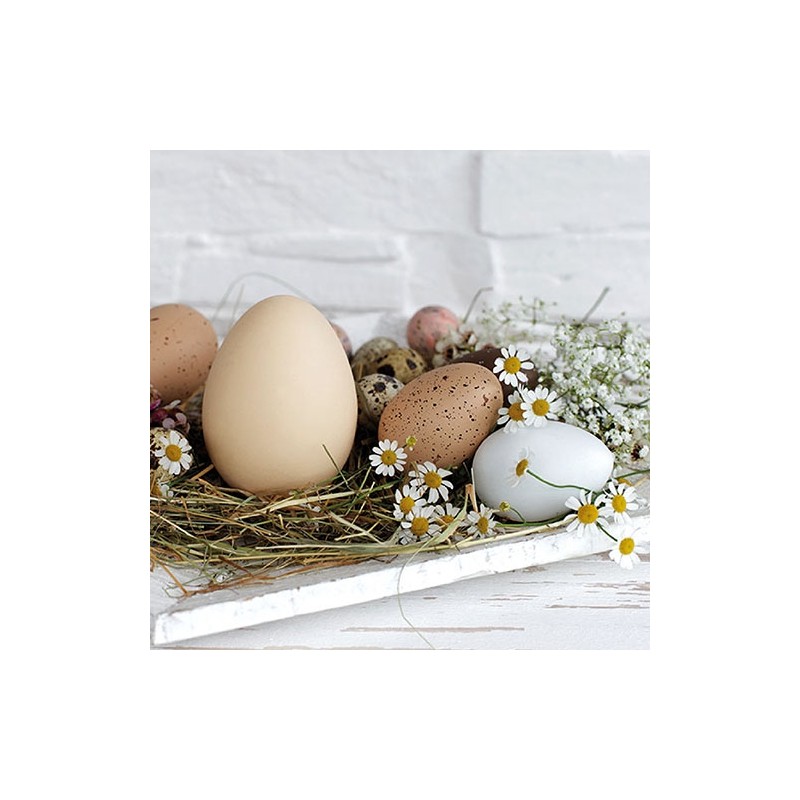 Pastel Eggs Napkins