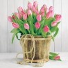 Tulips in Bucket Napkins