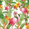 Flamingo's White Napkins