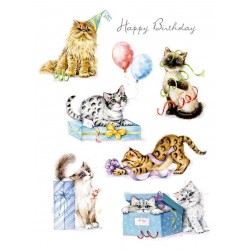 Noel Tatt Birthday Card Playing Cats