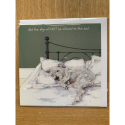 Not Bed - Digs and Manor Little Dog Company Card