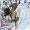 Barn Owl Napkins