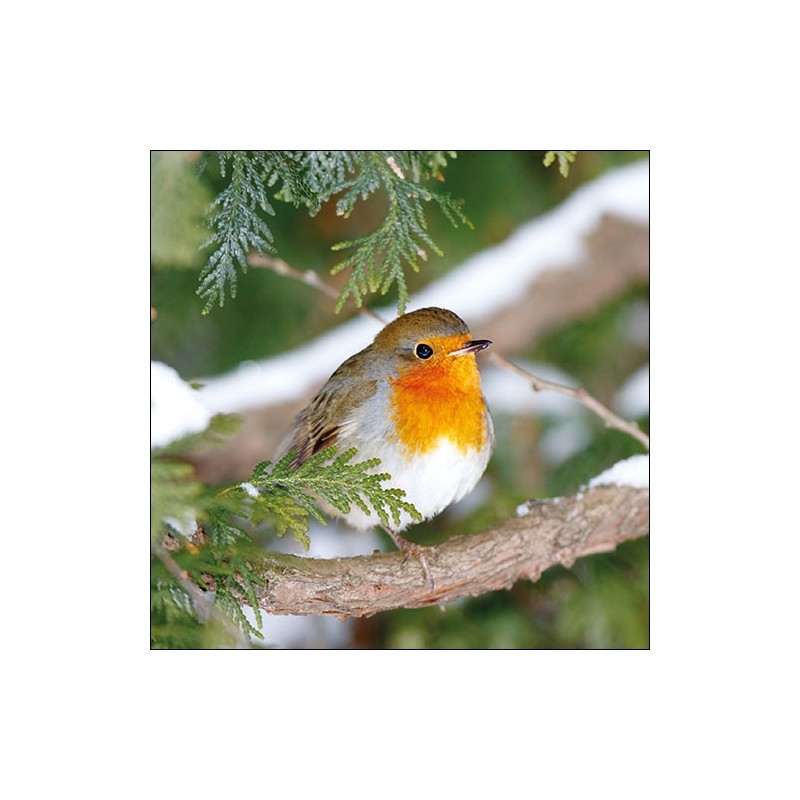 Robin in Tree Napkins