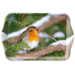 Robin in a Tree Small Tray