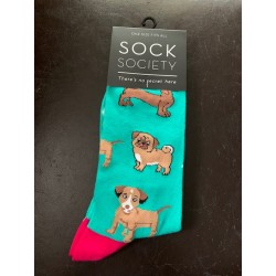 Dogs  Green Socks