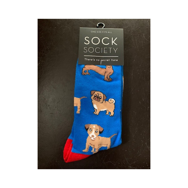 Dogs  Blue Socks