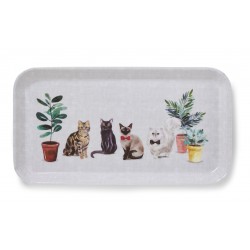 Curious Cats Bamboo Mix Small Tray by Cooksmart