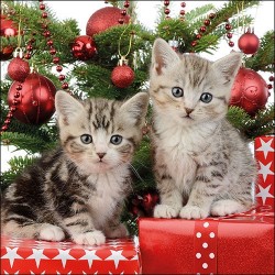 Christmas Kitten Napkins