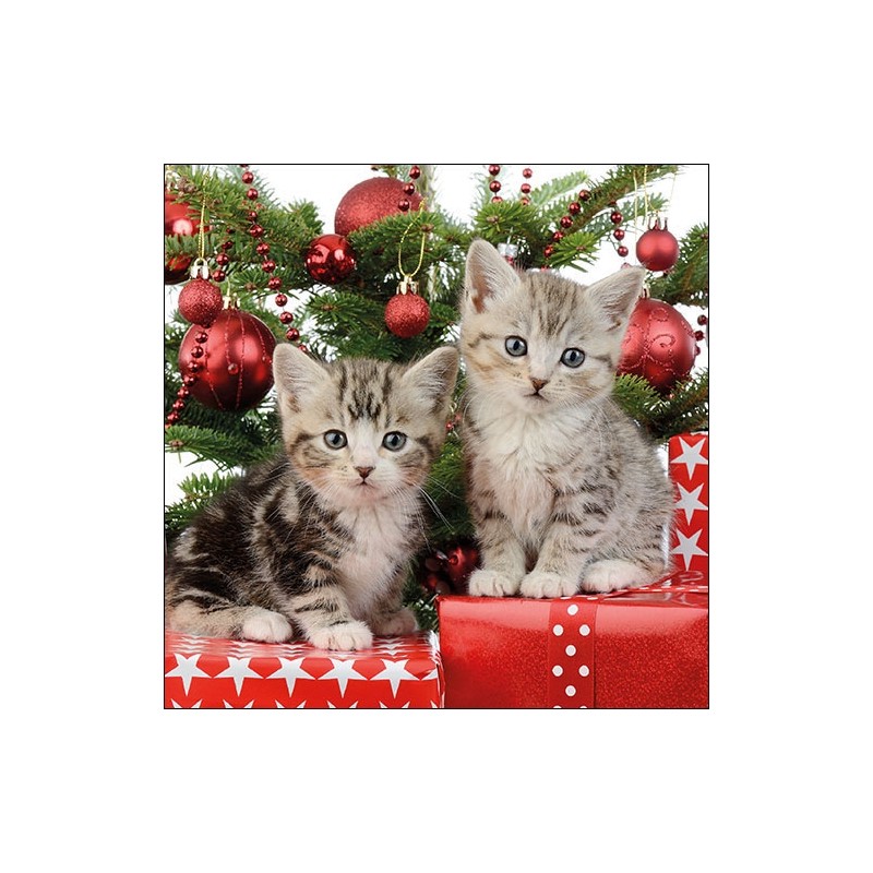 Christmas Kitten Napkins