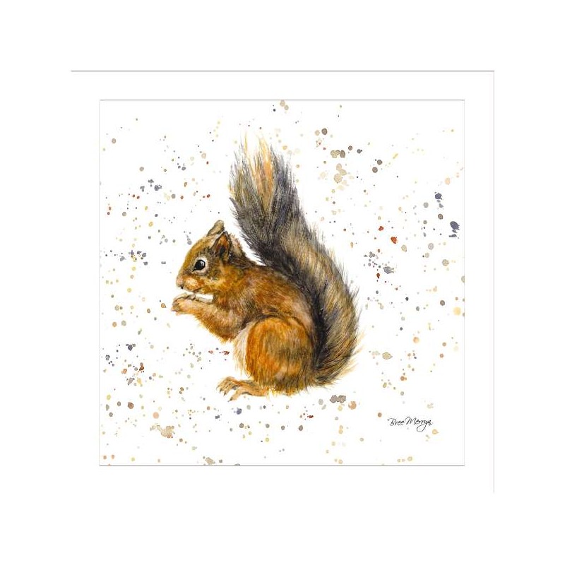 Bree Merryn Blank Greeting Card Red Squirrel