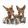 Bree Merryn Blank Greeting Card Donkeys