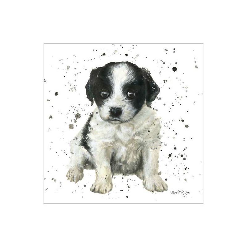 Bree Merryn Blank Greeting Card Patch Puppy