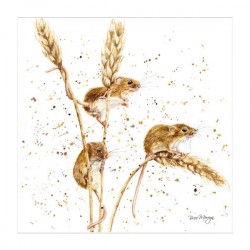 Bree Merryn Blank Greeting Card Mice - The Grain Gang
