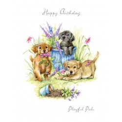 Noel Tatt Birthday Card Playful Puppies in Garden