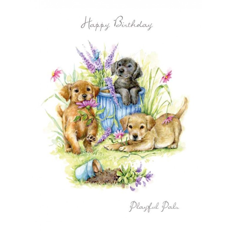 Noel Tatt Birthday Card Playful Puppies in Garden