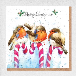 Christmas Robins Blank Greeting Card Envelope by Alljoy